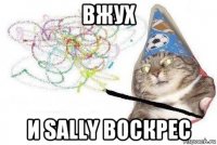 вжух и sally воскрес