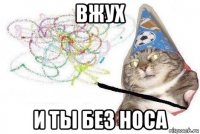 вжух и ты без носа