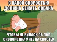 с какой скоростью должна бежать собака чтобы не билась об пол сковородка у неё на хвосте?