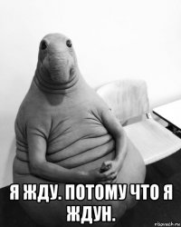  я жду. потому что я ждун.