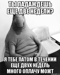 ты падаждешь еще две недели? я тебе патом в течении еще двух недель много оплачу можт