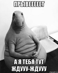 прывееееет а я тебя тут ждууу-ждууу