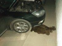 Создать мем Бачёк потёк