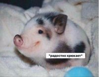 Создать мем Ффф