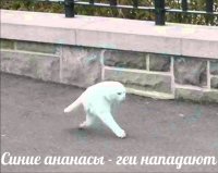 Создать мем Синие ананасы-геи нападают