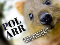 Создать мем ТОБИ КОБЗДА