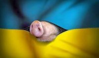 Создать мем Украина