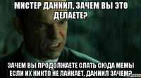 мистер даниил, зачем вы это делаете? зачем вы продолжаете слать сюда мемы если их никто не лайкает, даниил зачем?