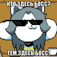 кто здесь босс? тем здесь босс!
