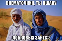 внематочкин, ты ишаку лобковых занес?