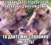 вставай, ща последняя горка на пивзавод и почти дома! та дайте мне спокойно умереть!