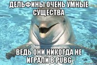 дельфины очень умные существа ведь они никогда не играли в pubg