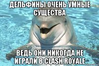 дельфины очень умные существа ведь они никогда не играли в clash royale