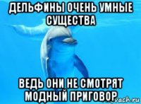 дельфины очень умные существа ведь они не смотрят модный приговор