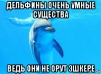 дельфины очень умные существа ведь они не орут эшкере