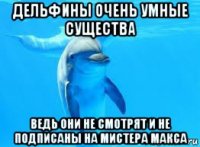 дельфины очень умные существа ведь они не смотрят и не подписаны на мистера макса