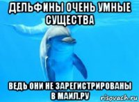 дельфины очень умные существа ведь они не зарегистрированы в маил.ру