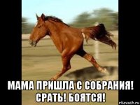  мама пришла с собрания! срать! боятся!