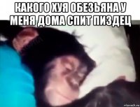 какого хуя обезьяна у меня дома спит пиздец 