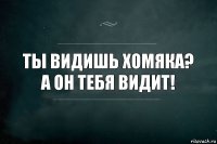 Ты видишь хомяка? А он тебя видит!