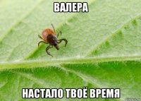 валера настало твоё время