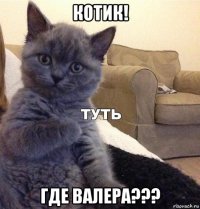 котик! где валера???