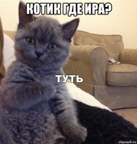 котик где ира? 