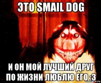 это smail dog и он мой лучший друг по жизни люблю его :3