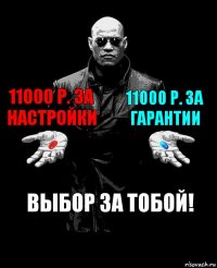 11000 р. за настройки 11000 р. за гарантии Выбор за тобой!