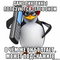 даже пингвины пользуются телефоном о чём же он болтает , может подскажите