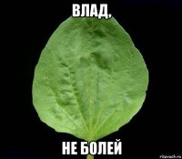 влад, не болей