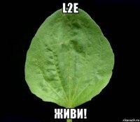 l2e живи!