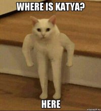 where is katya? here