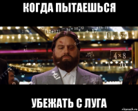 когда пытаешься убежать с луга