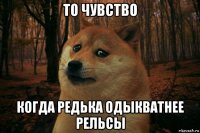 то чувство когда редька одыкватнее рельсы