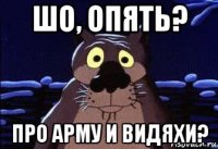шо, опять? про арму и видяхи?