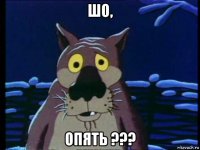 шо, опять ???