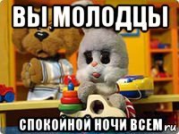 вы молодцы спокойной ночи всем