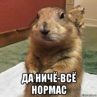  да ничё-всё нормас