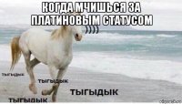 когда мчишься за платиновым статусом 