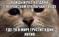 каждый раз, когда на суворовском отключают воду где-то в мире грустит один котик