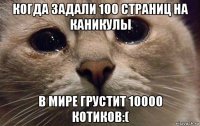 когда задали 100 страниц на каникулы в мире грустит 10000 котиков:(