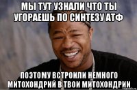 мы тут узнали что ты угораешь по синтезу атф поэтому встроили немного митохондрий в твои митохондрии