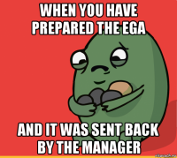 when you have prepared the ega and it was sent back by the manager