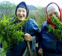 Создать мем Bbbbbbbbbbbbbbbb