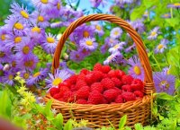 Создать мем Для вас девочки