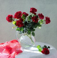 Создать мем Добрый день