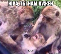 юра, ты нам нужен - -