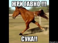 жри гавно !!! сука!!