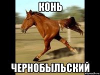 конь чернобыльский